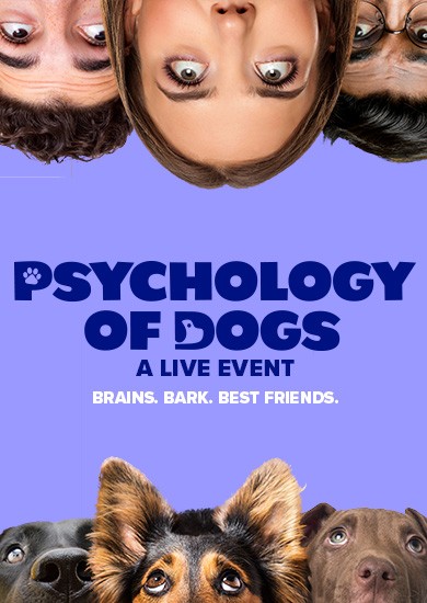 The Psychology of Dogs